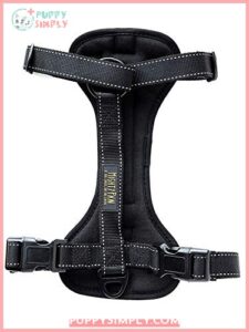 Mighty Paw Car Dog Harness, B01JD68UNU