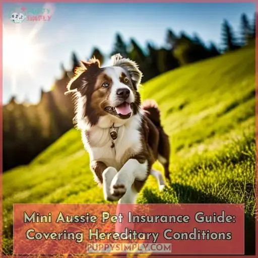 miniature american shepherd pet insurance