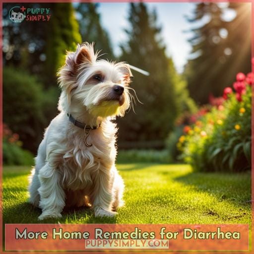 More Home Remedies for Diarrhea