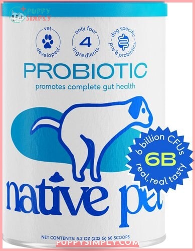 Native Pet Vet-Formulated Probiotic &