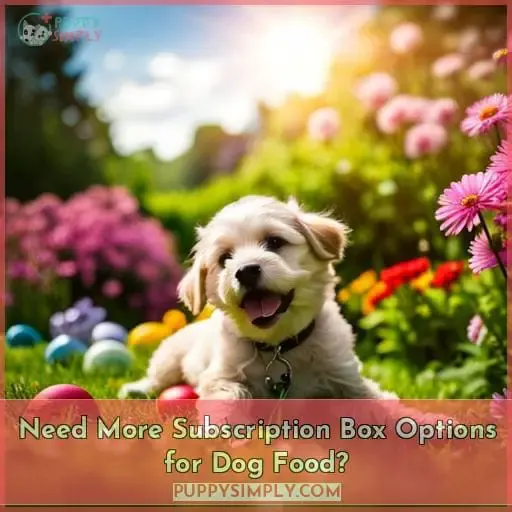 Need More Subscription Box Options for Dog Food