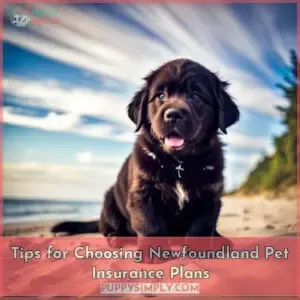 newfoundland pet insurance