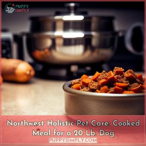 Northwest Holistic Pet Care: Cooked Meal for a 20 Lb. Dog