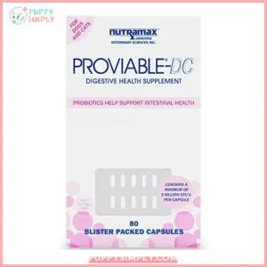 Nutramax Proviable Digestive Health Supplement