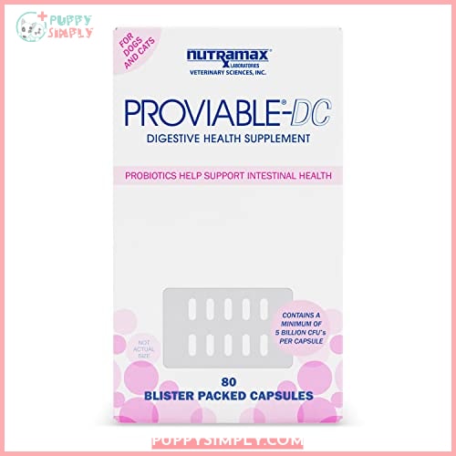 Nutramax Proviable Digestive Health Supplement