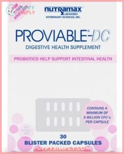 Nutramax Proviable Probiotics & Prebiotics 101470