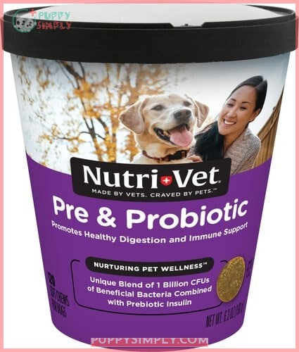 Nutri-Vet Pre & Probiotics Soft