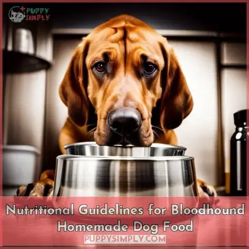 Nutritional Guidelines for Bloodhound Homemade Dog Food