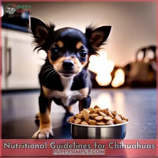 Nutritional Guidelines for Chihuahuas
