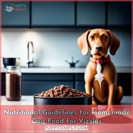 Nutritional Guidelines for Homemade Dog Food for Vizslas