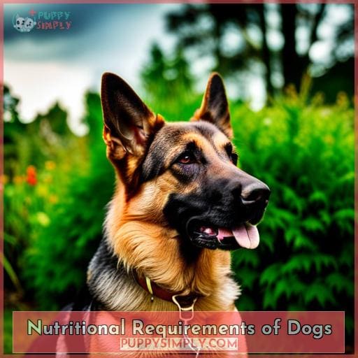 Nutritional Requirements of Dogs