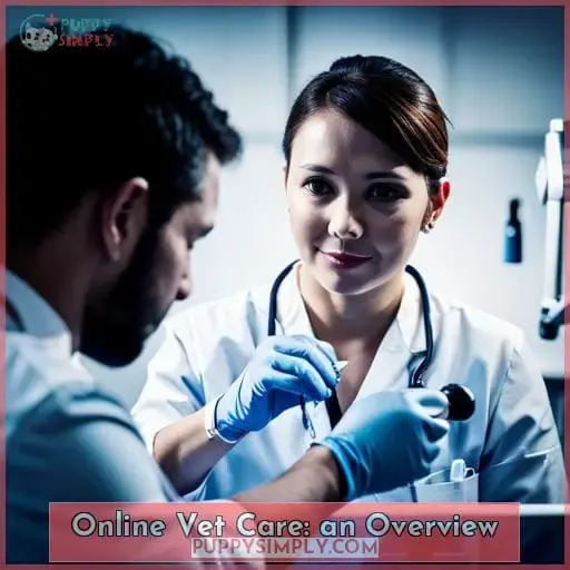 Online Vet Care: an Overview