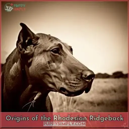 Origins of the Rhodesian Ridgeback