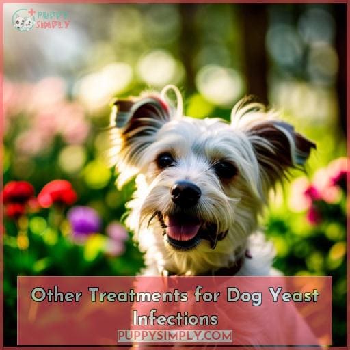 Other Treatments for Dog Yeast Infections