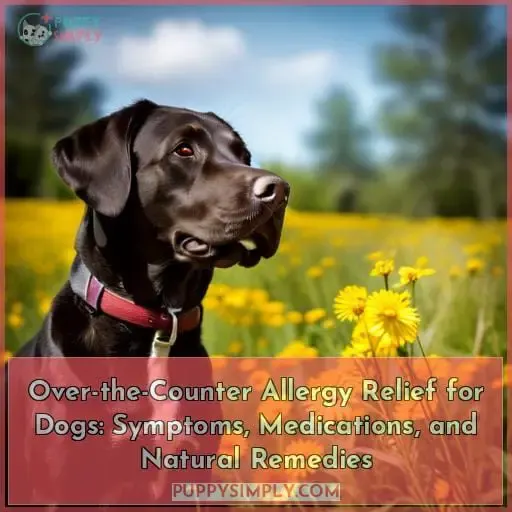 over the counter allergy medicine for dogs