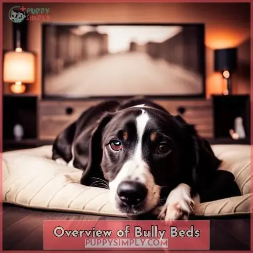 Overview of Bully Beds