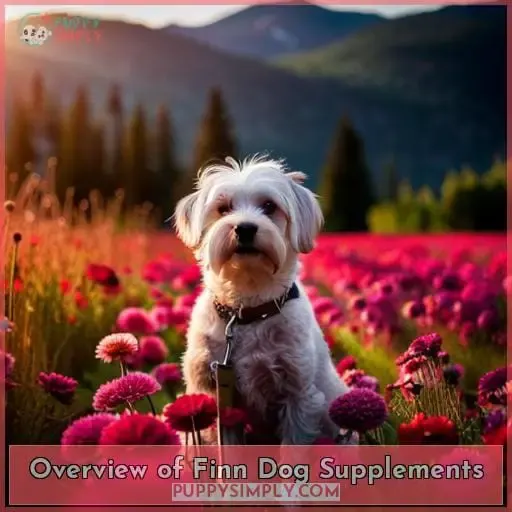 Overview of Finn Dog Supplements