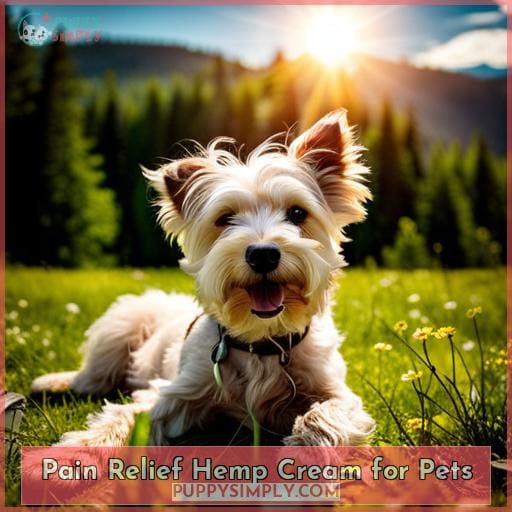 Pain Relief Hemp Cream for Pets