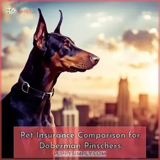 Pet Insurance Comparison for Doberman Pinschers