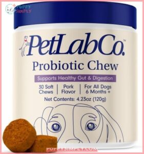 PetLab Co. Probiotic Pork Flavored 306376