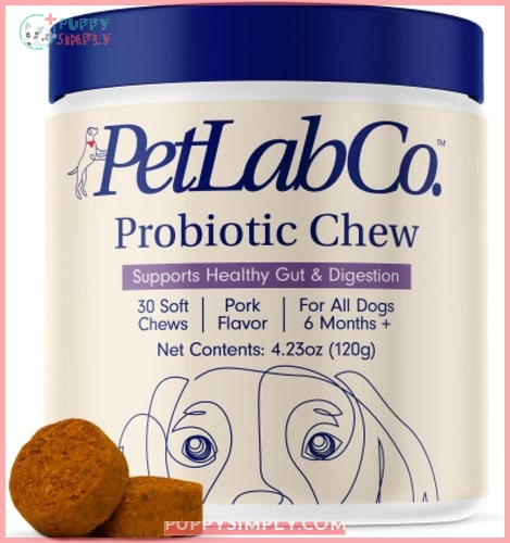 PetLab Co. Probiotic Pork Flavored