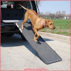 PetSTEP Folding Pet Ramp 141325