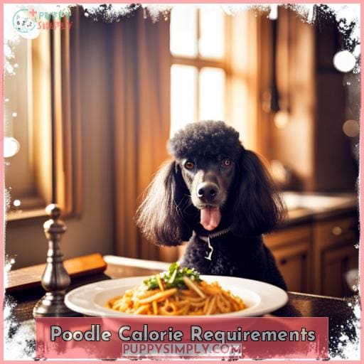 Poodle Calorie Requirements
