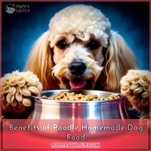 poodle homemade dog food