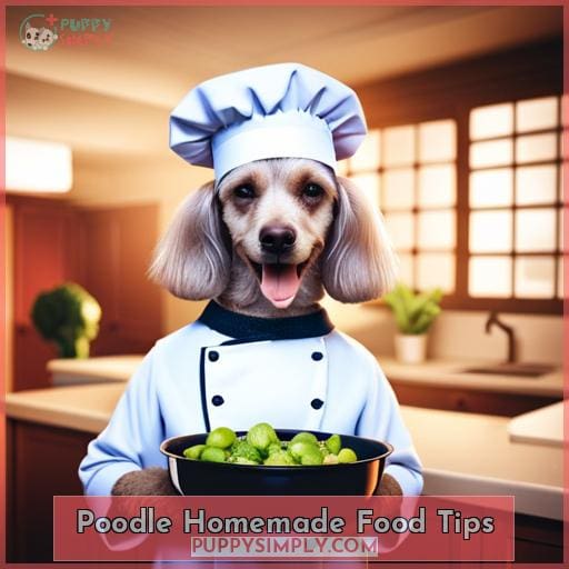 Poodle Homemade Food Tips