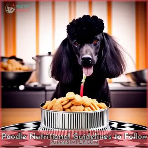 Poodle Nutritional Guidelines to Follow