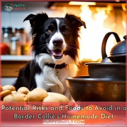Potential Risks and Foods to Avoid in a Border Collie
