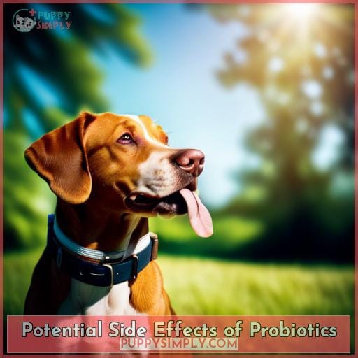 Potential Side Effects of Probiotics