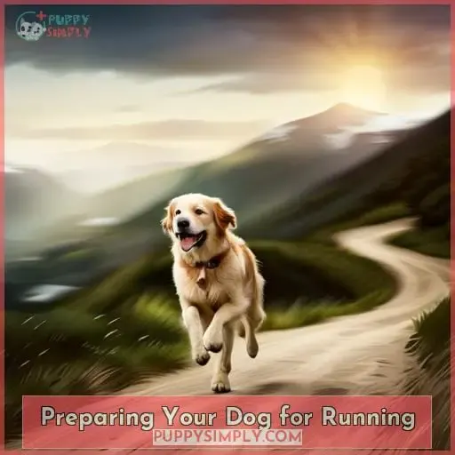 Preparing Your Dog for Running