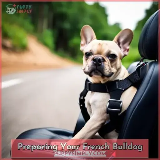 Preparing Your French Bulldog