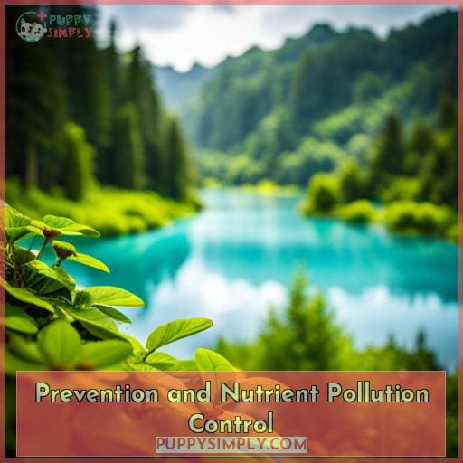 Prevention and Nutrient Pollution Control