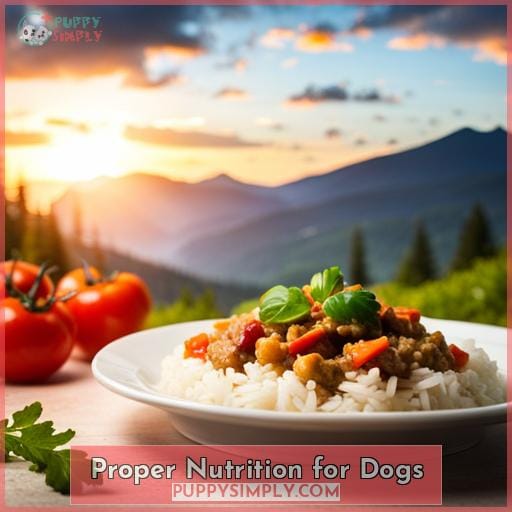 Proper Nutrition for Dogs