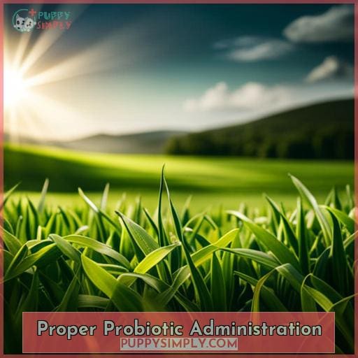 Proper Probiotic Administration
