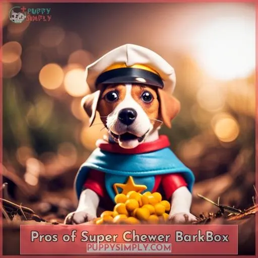Pros of Super Chewer BarkBox