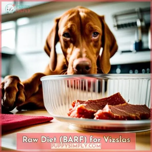 Raw Diet (BARF) for Vizslas