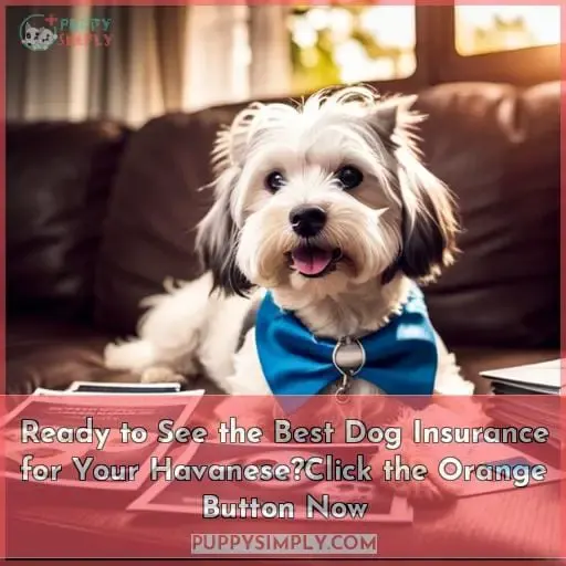 Ready to See the Best Dog Insurance for Your Havanese?Click the Orange Button Now