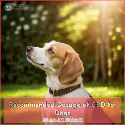 Recommended Dosage of CBD for Dogs