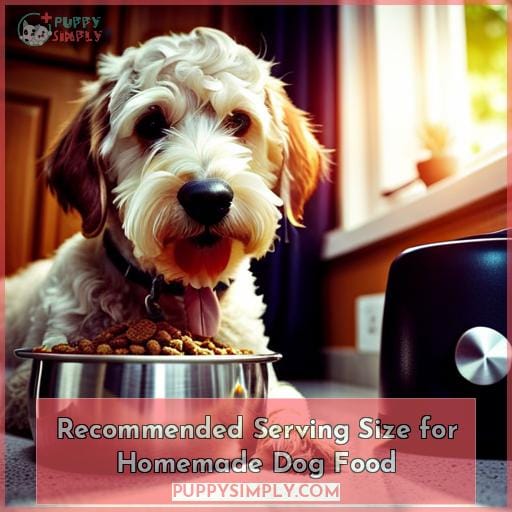 Recommended Serving Size for Homemade Dog Food