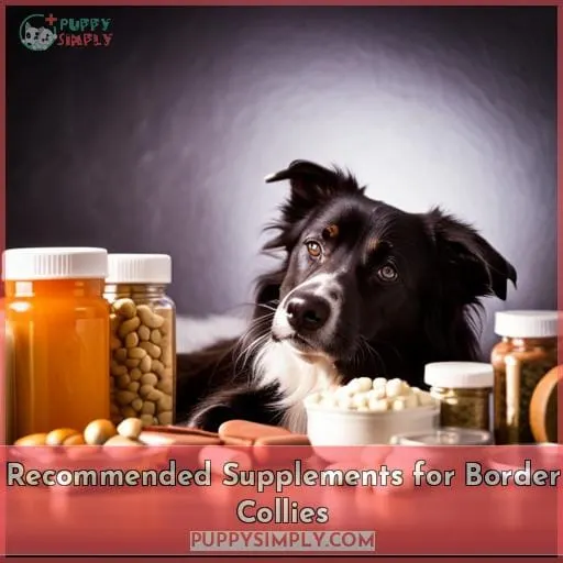 Recommended Supplements for Border Collies