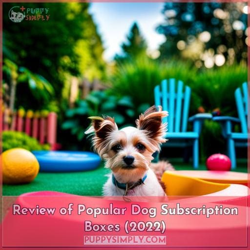 Review of Popular Dog Subscription Boxes (2022)