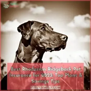 rhodesian ridgeback pet insurance