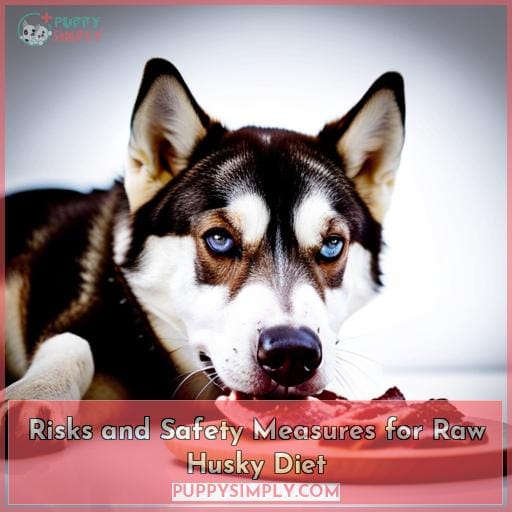 Risks and Safety Measures for Raw Husky Diet