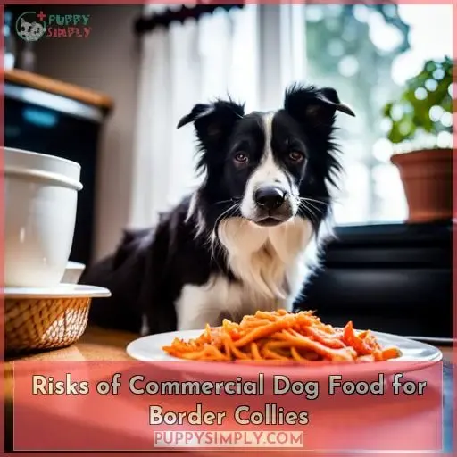 Risks of Commercial Dog Food for Border Collies
