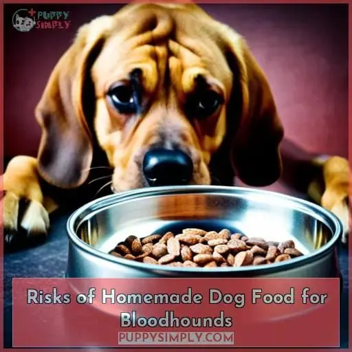 Risks of Homemade Dog Food for Bloodhounds