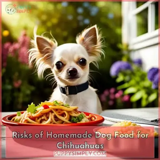 Risks of Homemade Dog Food for Chihuahuas