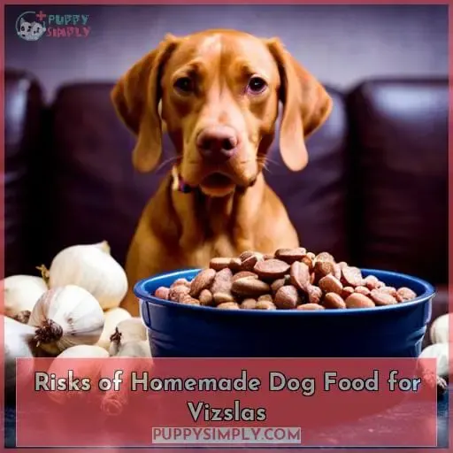 Risks of Homemade Dog Food for Vizslas